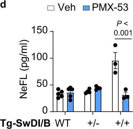 Fig.8.D showing Enzyme-linked immunosorbent assay from the publication: Macrophage lineage cells-derived migrasomes activate complement-dependent blood-brain barrier damage in cerebral amyloid angiopathy mouse model.