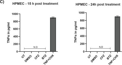 Fig.3.C showing Enzyme-linked immunosorbent assay from the publication: Proteasomal inhibition compromises microvascular integrity via distinct effects on non-immune endothelial cells and immune cells.