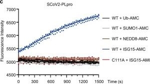 Fig.3.C from the publication: Mechanism-based traps enable protease and hydrolase substrate discovery.