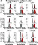 Fig.6.A showing Flow cytometry/Cell sorting in a Homo sapiens (Human) sample from the publication: Immortalization of primary microglia: a new platform to study HIV regulation in the central nervous system.