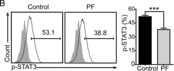Fig.4.B showing Flow cytometry/Cell sorting from the publication: Paeoniflorin Ameliorates Experimental Autoimmune Encephalomyelitis via Inhibition of Dendritic Cell Function and Th17 Cell Differentiation.