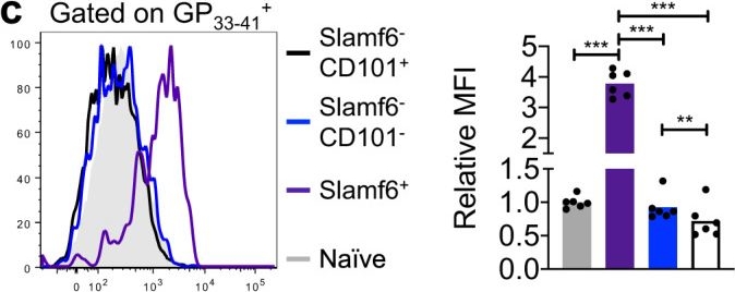 Fig.1.C showing Flow cytometry/Cell sorting in a Mus musculus (House mouse) sample from the publication: Antigen-driven EGR2 expression is required for exhausted CD8+ T cell stability and maintenance.