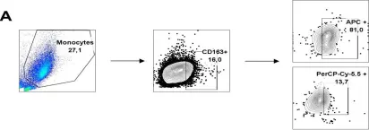 Fig.4.A showing Flow cytometry/Cell sorting in a Homo sapiens (Human) sample from the publication: sCD163 levels as a biomarker of disease severity in leprosy and visceral leishmaniasis.