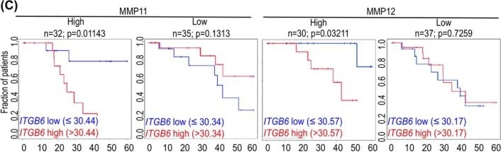 Fig.5.C from the publication: Integrin β6 expression in colorectal cancer cells promotes liver metastasis through enhanced adhesion to endothelial fibronectin.