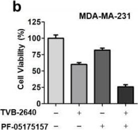 Fig.6.B from the publication: Imaging the metabolic reprograming of fatty acid synthesis pathway enables new diagnostic and therapeutic opportunity for breast cancer.