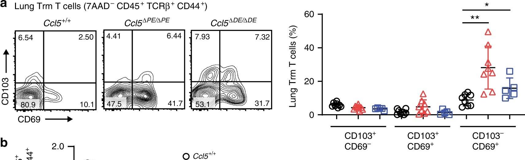 Fig.6.A showing Flow cytometry/Cell sorting in a Mus musculus (House mouse) sample from the publication: Runx-mediated regulation of CCL5 via antagonizing two enhancers influences immune cell function and anti-tumor immunity.