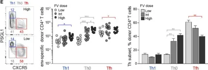 Fig.1.E showing Flow cytometry/Cell sorting from the publication: Correlates of Follicular Helper Bias in the CD4 T Cell Response to a Retroviral Antigen.