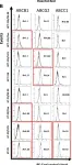 Fig.5.B showing Flow cytometry/Cell sorting from the publication: Chronic chemotherapeutic stress promotes evolution of stemness and WNT/beta-catenin signaling in colorectal cancer cells: implications for clinical use of WNT-signaling inhibitors.