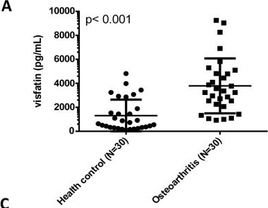 Fig.2.A showing Enzyme-linked immunosorbent assay from the publication: Visfatin increases ICAM-1 expression and monocyte adhesion in human osteoarthritis synovial fibroblasts by reducing miR-320a expression.