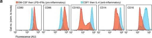 Fig.1.A showing Flow cytometry/Cell sorting in a Homo sapiens (Human) sample from the publication: A druggable copper-signalling pathway that drives inflammation.