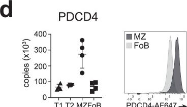 Fig.7.D showing Flow cytometry/Cell sorting from the publication: An integrated proteome and transcriptome of B cell maturation defines poised activation states of transitional and mature B cells.