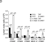Fig.8.D showing Flow cytometry/Cell sorting in a Mus musculus (House mouse) sample from the publication: Epidermal RAF prevents allergic skin disease.