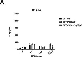 Fig.3.A showing Enzyme-linked immunosorbent assay from the publication: TIR-domain-containing protein C as modulator of innate immune checkpoints.
