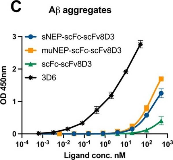Fig.3.C showing Enzyme-linked immunosorbent assay in an Escherichia coli sample from the publication: Blood-brain barrier penetrating neprilysin degrades monomeric amyloid-beta in a mouse model of Alzheimer's disease.