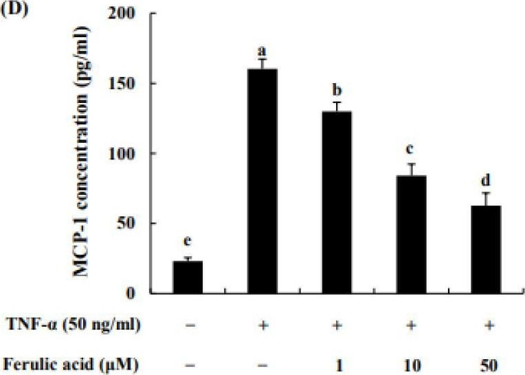 Fig.3.D showing Enzyme-linked immunosorbent assay from the publication: Improving the Effect of Ferulic Acid on Inflammation and Insulin Resistance by Regulating the JNK/ERK and NF-κB Pathways in TNF-α-Treated 3T3-L1 Adipocytes.