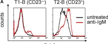 Fig.5.A showing Flow cytometry/Cell sorting from the publication: Conditional Selection of B Cells in Mice With an Inducible B Cell Development.