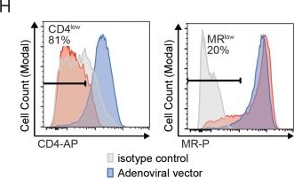 Fig.2.H showing Flow cytometry/Cell sorting in a HIV sample from the publication: Mannose receptor is an HIV restriction factor counteracted by Vpr in macrophages.