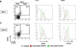 Fig.2.B showing Flow cytometry/Cell sorting from the publication: Regulatory and activated T cells in human Schistosoma haematobium infections.