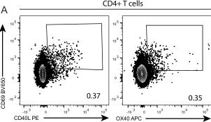 Fig.5.A showing Flow cytometry/Cell sorting from the publication: Sustained IFN signaling is associated with delayed development of SARS-CoV-2-specific immunity.