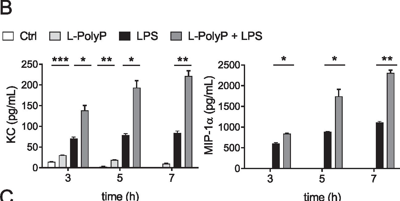 Fig.2.B showing Enzyme-linked immunosorbent assay from the publication: Immunomodulation of neutrophil granulocyte functions by bacterial polyphosphates.