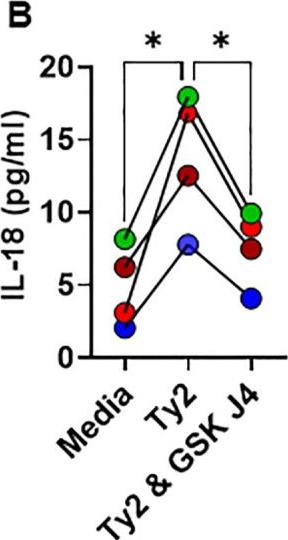Fig.2.B from the publication: Epigenetic regulation in epithelial cells and innate lymphocyte responses to S. Typhi infection: insights into IFN-γ production and intestinal immunity.