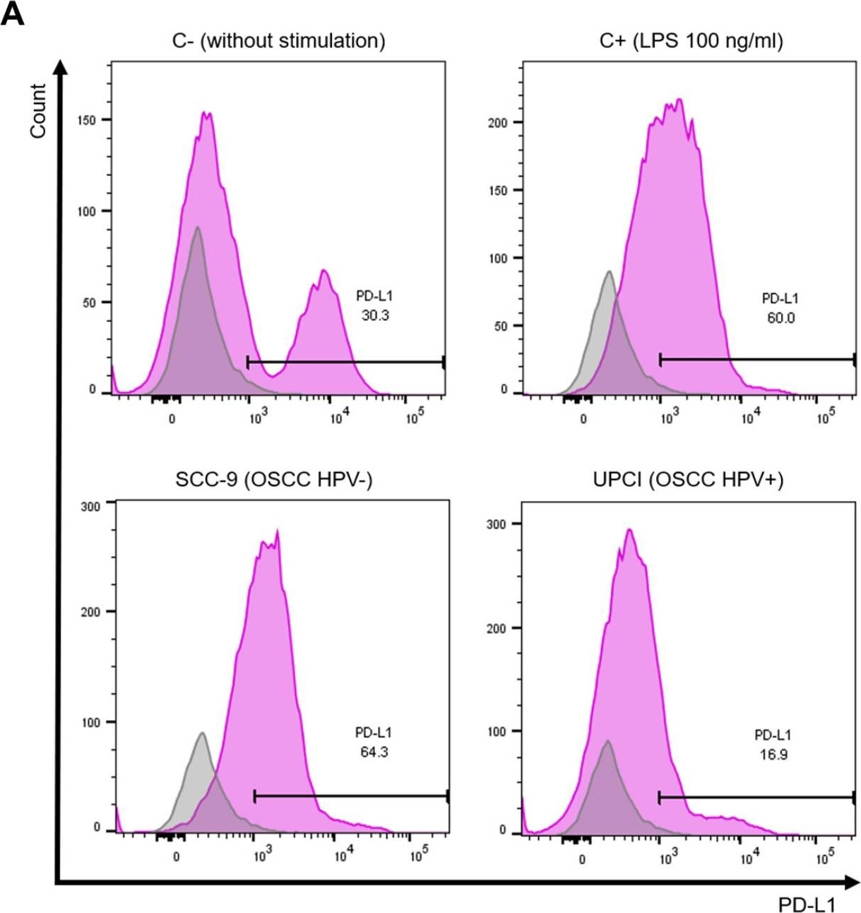 Fig.6.A showing Flow cytometry/Cell sorting in a Homo sapiens (Human) sample from the publication: HPV-Negative and HPV-Positive Oral Cancer Cells Stimulate the Polarization of Neutrophils towards Different Functional Phenotypes In Vitro.
