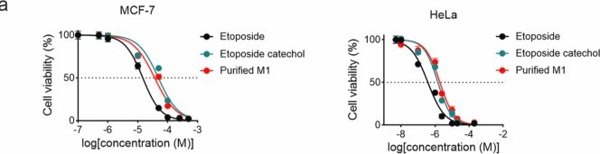 Fig.4.A from the publication: Gut bacterial O-demethylation modulates systemic exposure to oral etoposide.