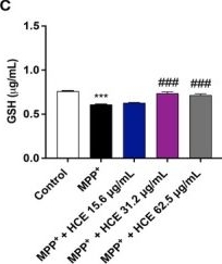 Fig.5.C showing Enzyme-linked immunosorbent assay from the publication: Aesculus hippocastanum Extract Exerts Neuroprotective Effects in an MPP+-Induced Parkinson's Disease Model via PPARγ Activation.
