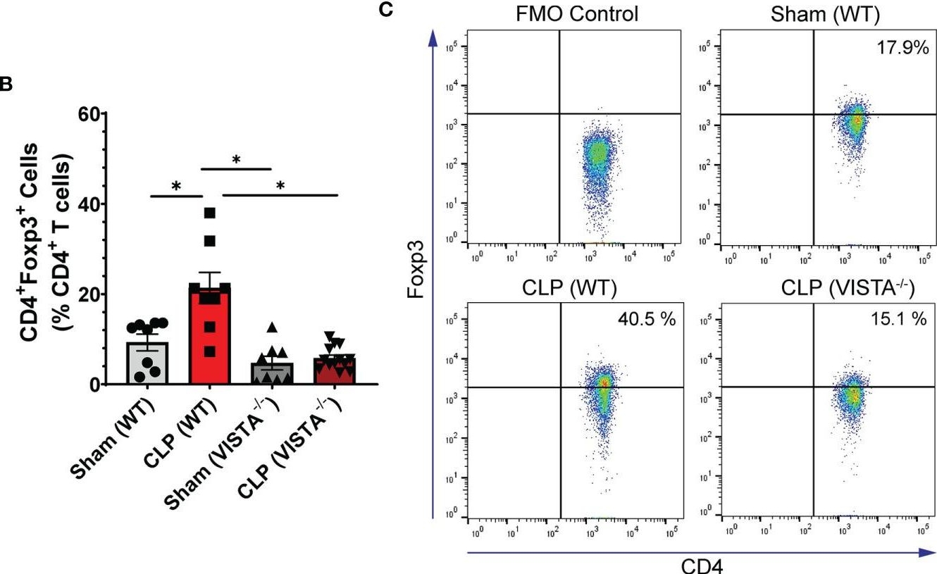 Fig.3.C showing Flow cytometry/Cell sorting in a Homo sapiens (Human) sample from the publication: Negative Immune Checkpoint Protein, VISTA, Regulates the CD4+ Treg Population During Sepsis Progression to Promote Acute Sepsis Recovery and Survival.