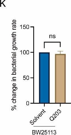 Fig.2.K from the publication: Antibiotics Trigger Host Innate Immune Response via Microbiota-Brain Communication in C. elegans.