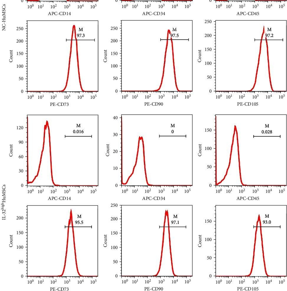 Fig.3.A showing Flow cytometry/Cell sorting in a Homo sapiens (Human) sample from the publication: Stimulated Human Umbilical Cord Mesenchymal Stem Cells Enhance the Osteogenesis and Cranial Bone Regeneration through IL-32 Mediated P38 Signaling Pathway.