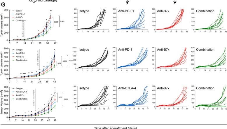 Fig.6.G showing Flow cytometry/Cell sorting in a Mus musculus (House mouse) sample from the publication: Immune checkpoint B7x promotes immune evasion and resistance to PD-1/PD-L1 blockade in bladder cancer.