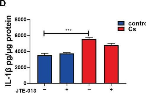 Fig.7.D from the publication: Clonorchis sinensis infection induces hepatobiliary injury via disturbing sphingolipid metabolism and activating sphingosine 1-phosphate receptor 2.