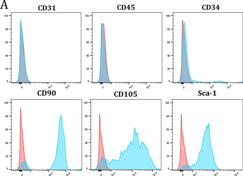 Fig.3.A showing Flow cytometry/Cell sorting in a Mus musculus (House mouse) sample from the publication: SENP1 regulates the transformation of lung resident mesenchymal stem cells and is associated with idiopathic pulmonary fibrosis progression.