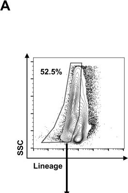 Fig.5.A showing Flow cytometry/Cell sorting in a Mus musculus (House mouse) sample from the publication: Induction of IL-12p40 and type 1 immunity by Toxoplasma gondii in the absence of the TLR-MyD88 signaling cascade.