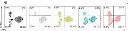 Fig.5.E showing Flow cytometry/Cell sorting in a Mus musculus (House mouse) sample from the publication: Multifaceted Immunomodulatory Nanocomplexes Target Neutrophilic-ROS Inflammation in Acute Lung Injury.