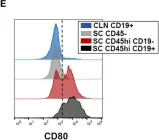 Fig.5.E showing Flow cytometry/Cell sorting from the publication: Central Nervous System Inflammatory Aggregates in the Theiler's Virus Model of Progressive Multiple Sclerosis.