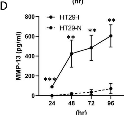 Fig.4.D showing Enzyme-linked immunosorbent assay from the publication: Galectin-3 promotes secretion of proteases that decrease epithelium integrity in human colon cancer cells.