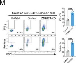 Fig.2.M showing Flow cytometry/Cell sorting in a Mus musculus (House mouse) sample from the publication: ZBTB21 Is a Dual Suppressor of Pyroptosis and MHC-I Antigen Presentation That Promotes Tumor Immune Evasion.
