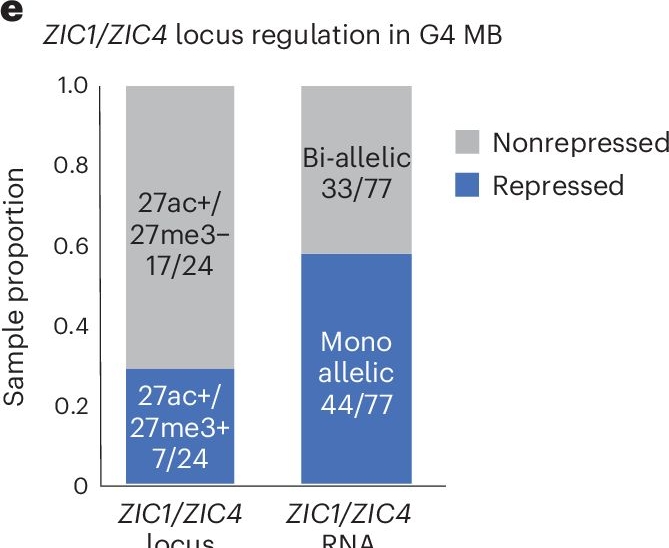 Fig.4.F showing Immunohistochemistry from the publication: ZIC1 is a context-dependent medulloblastoma driver in the rhombic lip.