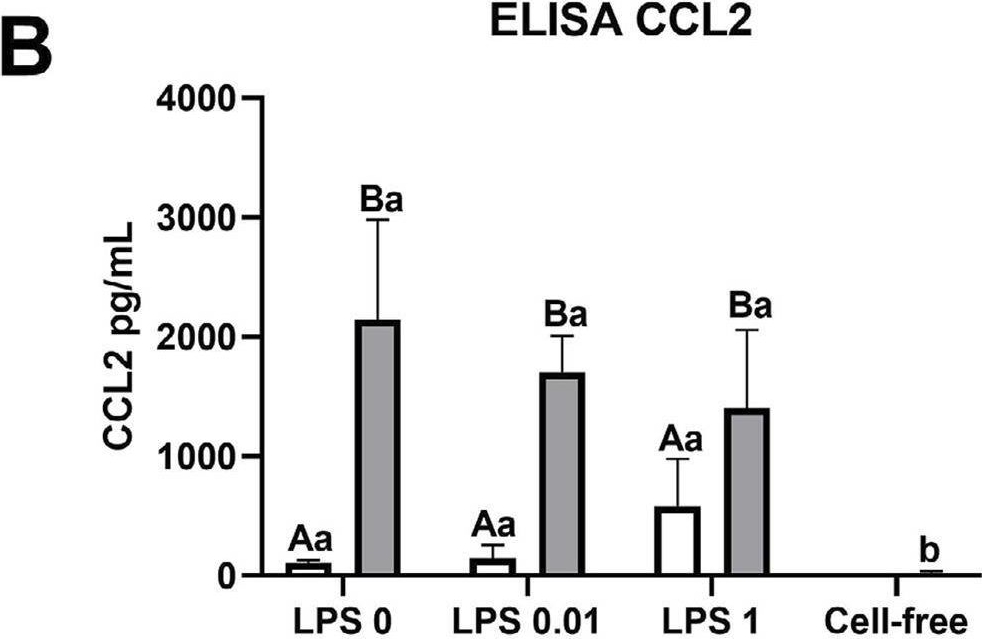Fig.3.B showing Enzyme-linked immunosorbent assay from the publication: Immunomodulatory effects of apical papilla cells on periodontal ligament fibroblasts stimulated with Escherichia coli lipopolysaccharide: an in vitro study.