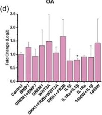 Fig.4.D from the publication: Dissecting SOX9 dynamics reveals its differential regulation in osteoarthritis.