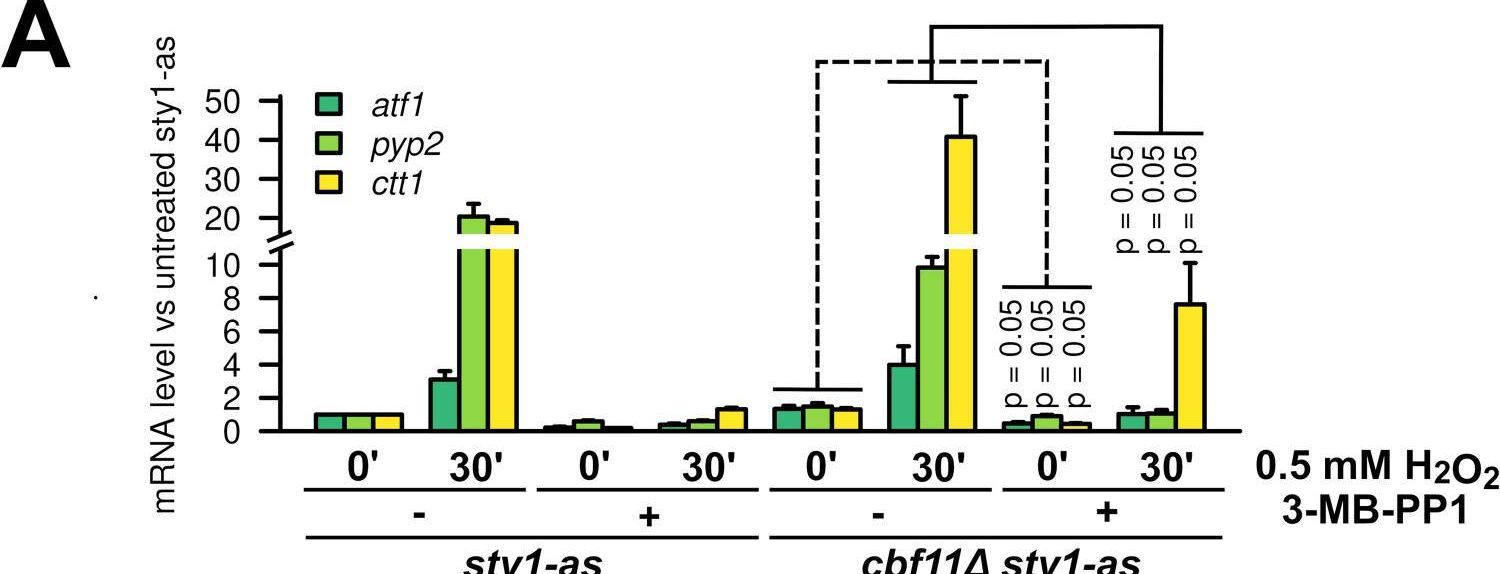 Fig.2.A from the publication: Perturbed fatty-acid metabolism is linked to localized chromatin hyperacetylation, increased stress-response gene expression and resistance to oxidative stress.