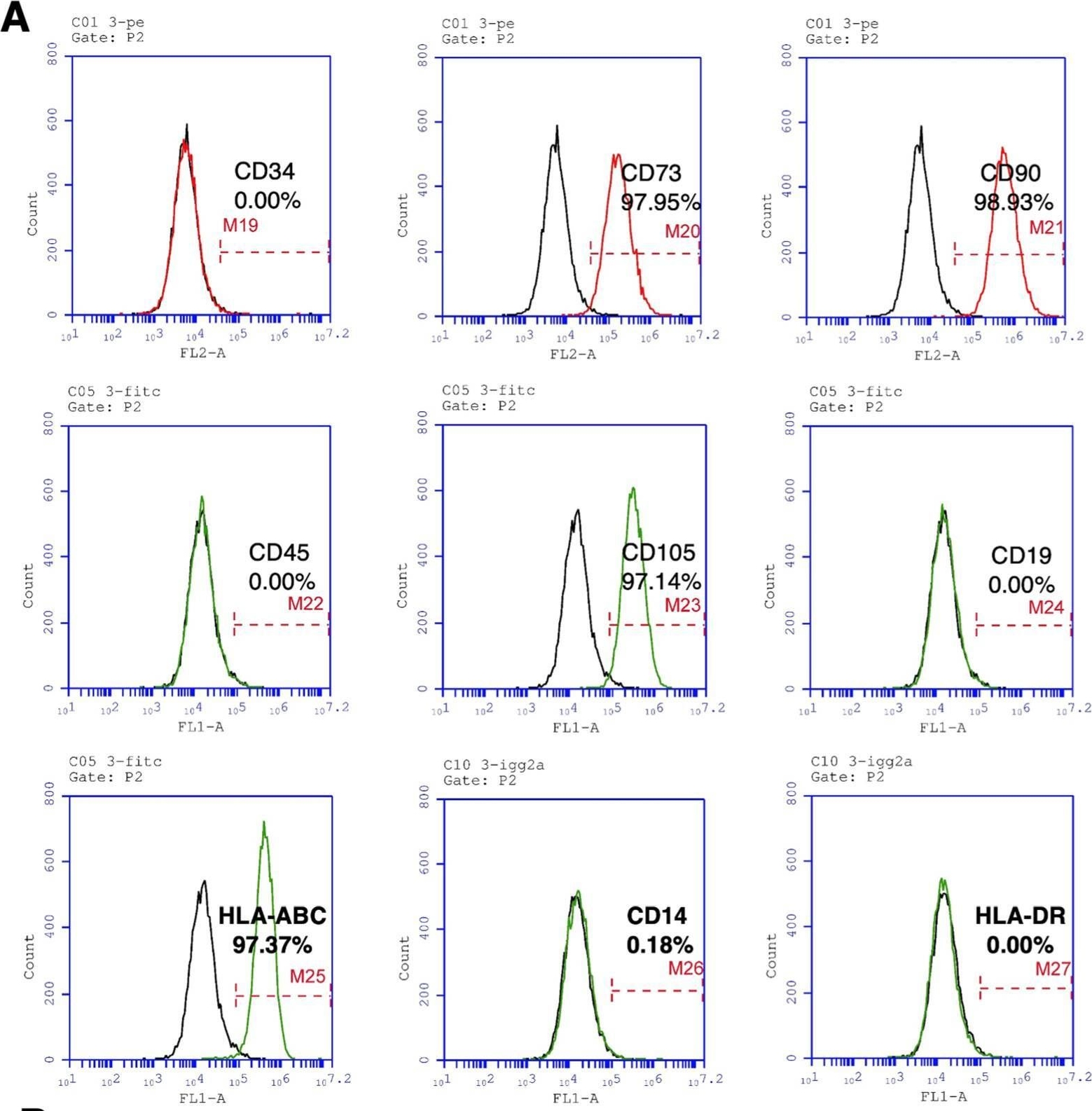 Fig.2.A showing Flow cytometry/Cell sorting in a Homo sapiens (Human) sample from the publication: Persistent Mesodermal Differentiation Capability of Bone Marrow MSCs Isolated from Aging Patients with Low-Energy Traumatic Hip Fracture and Osteoporosis: A Clinical Evidence.