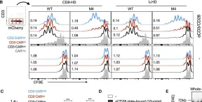 Fig.3.B showing Flow cytometry/Cell sorting from the publication: The CD28-Transmembrane Domain Mediates Chimeric Antigen Receptor Heterodimerization With CD28.