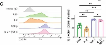 Fig.3.C showing Flow cytometry/Cell sorting from the publication: Transcriptional signature of rapidly responding NK cells reveals S1P5 and CXCR4 as anti-tumor response disruptors.