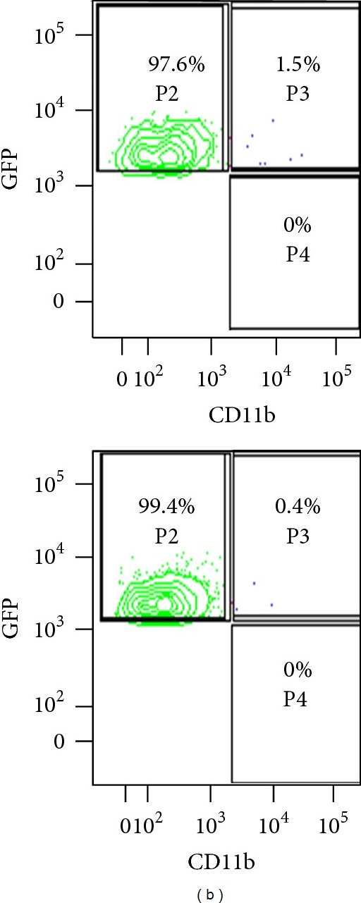 Fig.5.B showing Flow cytometry/Cell sorting in a Mus musculus (House mouse) sample from the publication: Mouse models and techniques for the isolation of the diabetic endothelium.