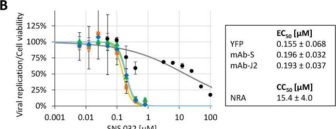 Fig.7.B from the publication: Methodological Development of a Multi-Readout Assay for the Assessment of Antiviral Drugs against SARS-CoV-2.