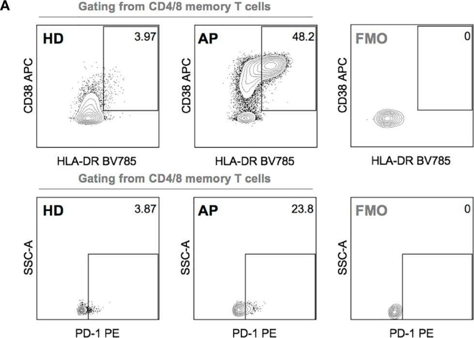 Fig.4.A showing Flow cytometry/Cell sorting in a Homo sapiens (Human) sample from the publication: Mitochondrial Dysfunction Associates With Acute T Lymphocytopenia and Impaired Functionality in COVID-19 Patients.