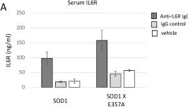 Fig.7.A showing Enzyme-linked immunosorbent assay from the publication: Enhanced Interleukin 6 Trans-Signaling Modulates Disease Process in Amyotrophic Lateral Sclerosis Mouse Models.